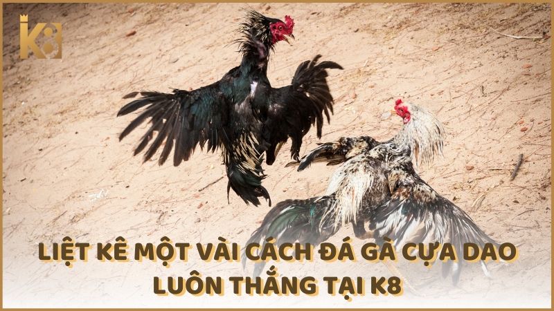 Liet Ke Mot Vai Cach Da Ga Cua Dao Luon Thang Tai K8 (1)