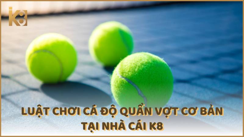 Luat Choi Ca Do Quan Vot Co Ban Tai Nha Cai K8