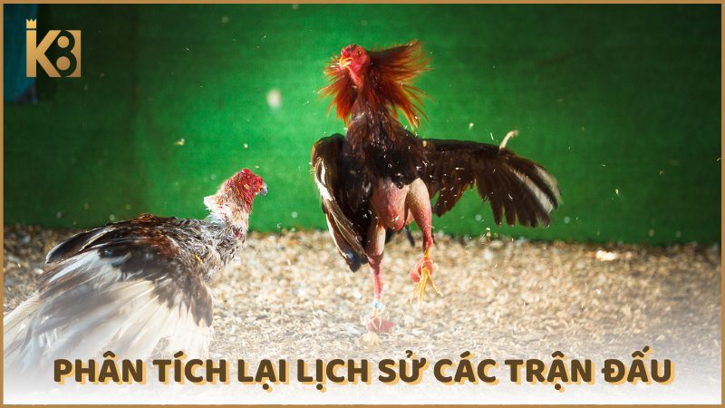 Phan Tich Lai Lich Su Cac Tran Dau