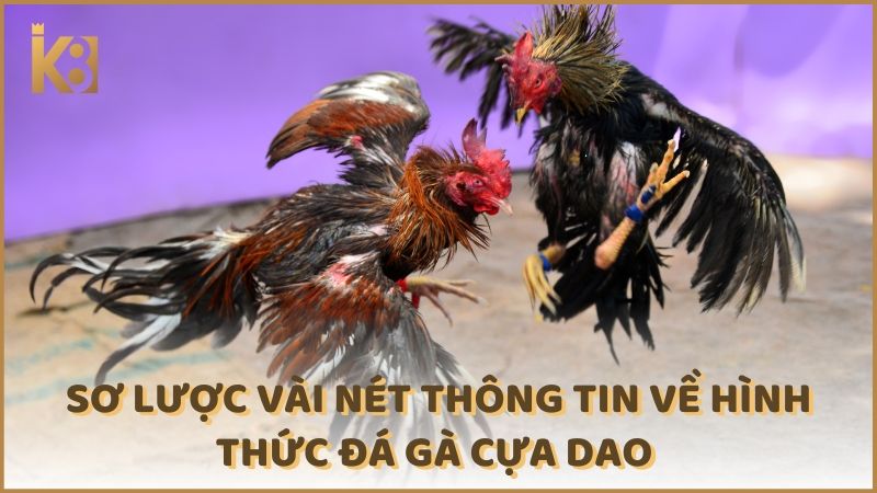 So Luoc Vai Net Thong Tin Ve Hinh Thuc Da Ga Cua Dao (1)