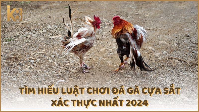 Tim Hieu Luat Choi Da Ga Cua Sat Xac Thuc Nhat 2024 (1)